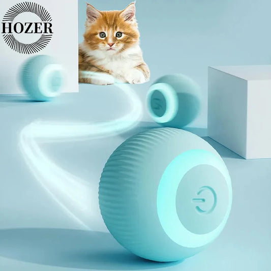 Smart Cat Play Ball
